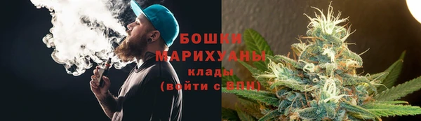 индика Россошь