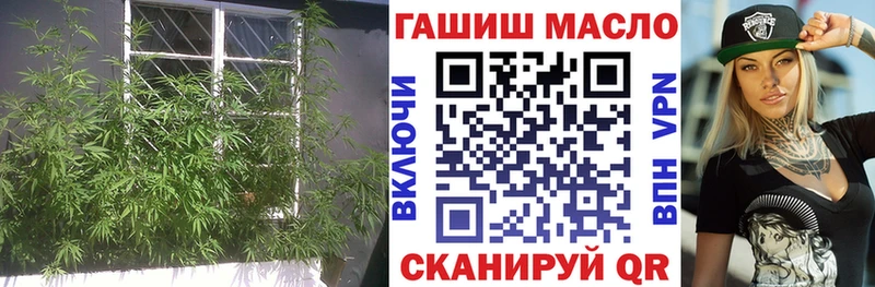 KRAKEN зеркало  Кашира  Дистиллят ТГК гашишное масло 