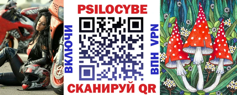 гидра ТОР  Кашира  Галлюциногенные грибы Cubensis 