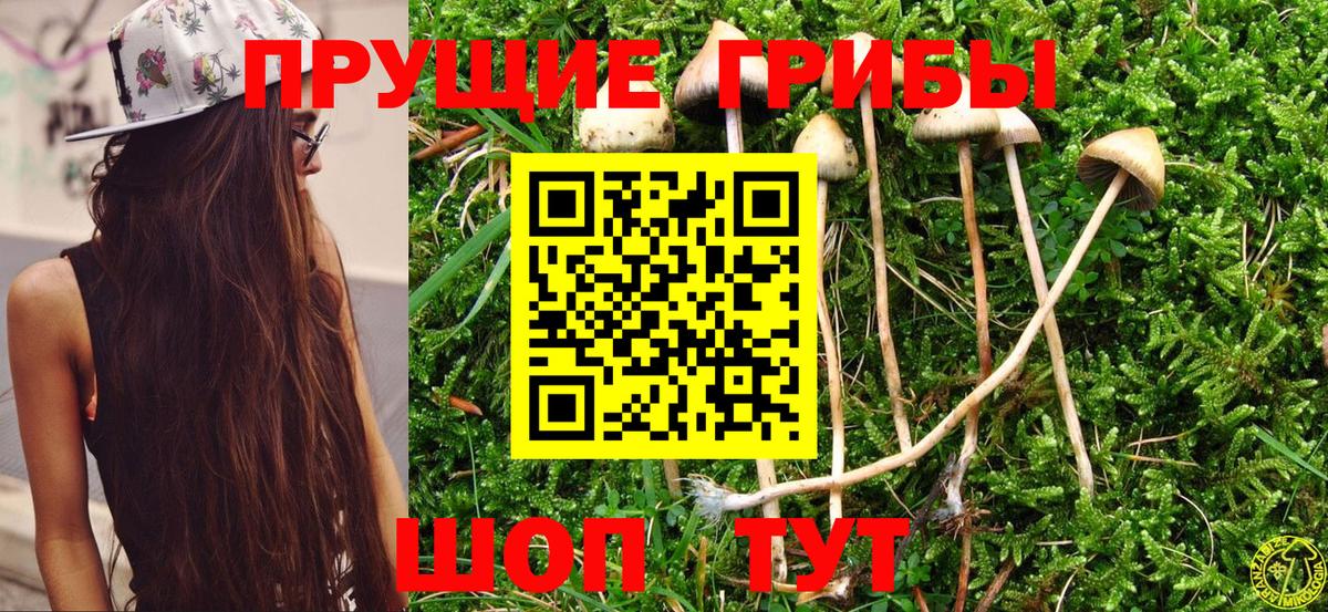 Галлюциногенные грибы прущие грибы Кашира