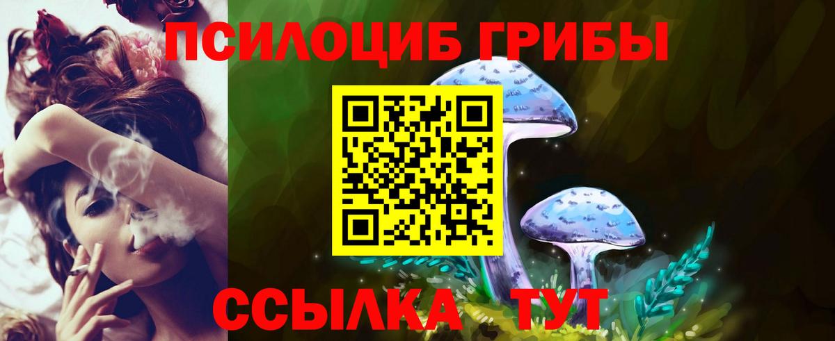 Кашира  Галлюциногенные грибы GOLDEN TEACHER  Вход с VPN 